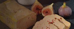 foie gras canard palmagri Langon sud ouest