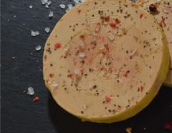 foie gras canard palmagri Langon sud ouest